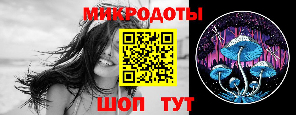 Псилоцибиновые грибы Psilocybine cubensis Шадринск