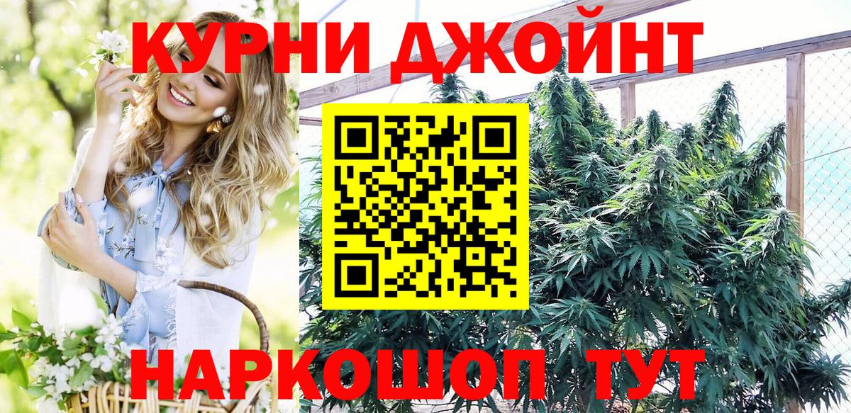 Канабис конопля Шадринск